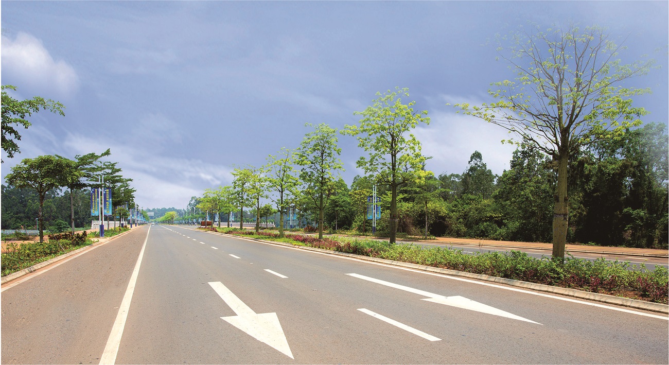 臨高縣市政大道工程（二期）濱海大道標段.jpg